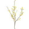 Blomst Forsythia