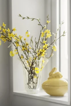 Blomst Forsythia