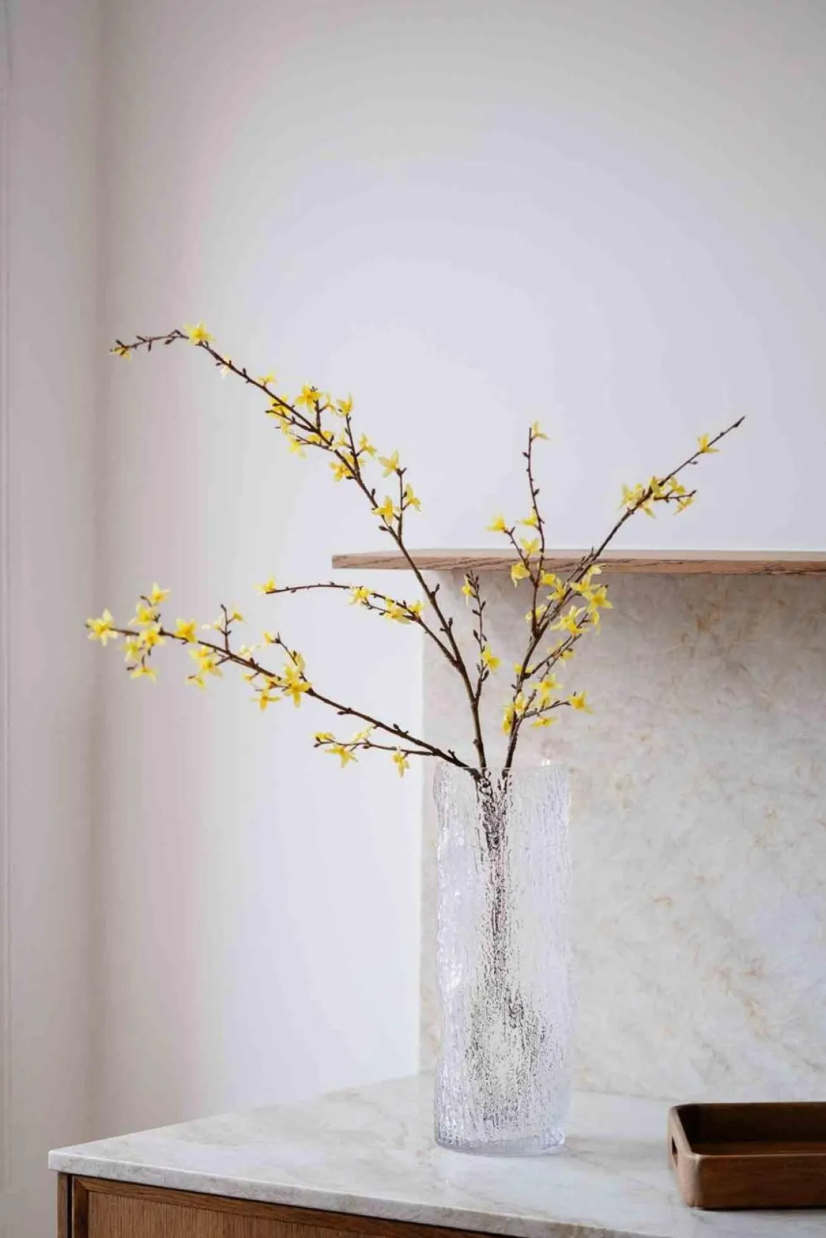 Blomst Forsythia
