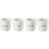 Eggeglass Timo 4pk
