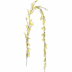Girlander Forstythia 160cm