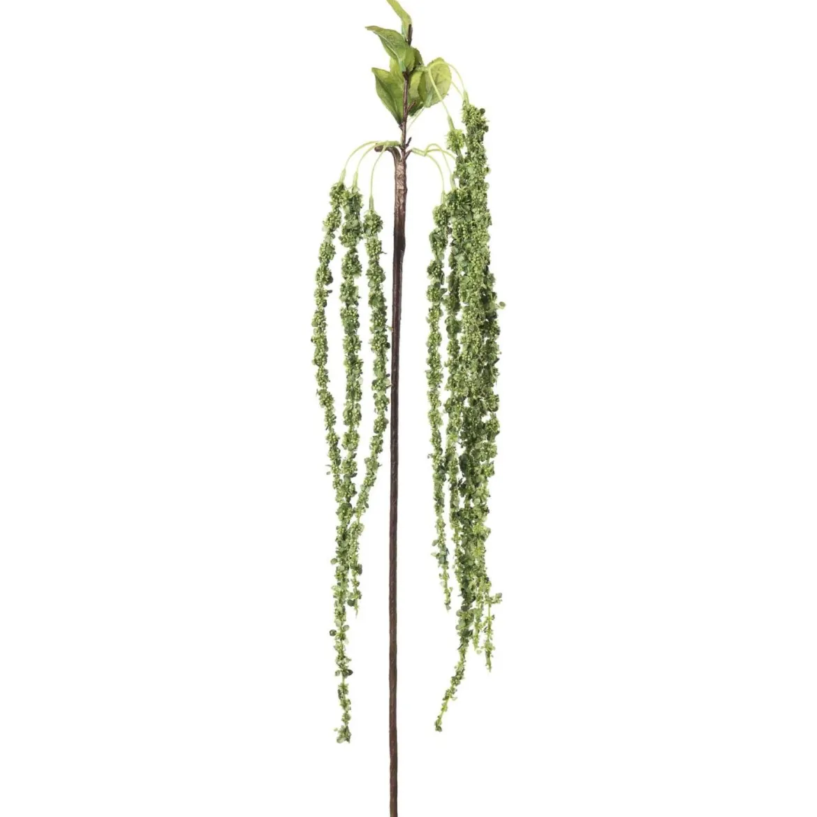 Gren Amarant