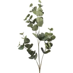 Gren Eucalyptus