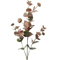 Gren Eucalyptus