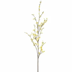 Gren Forsythia 120cm