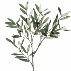 Gren Oliven 80cm