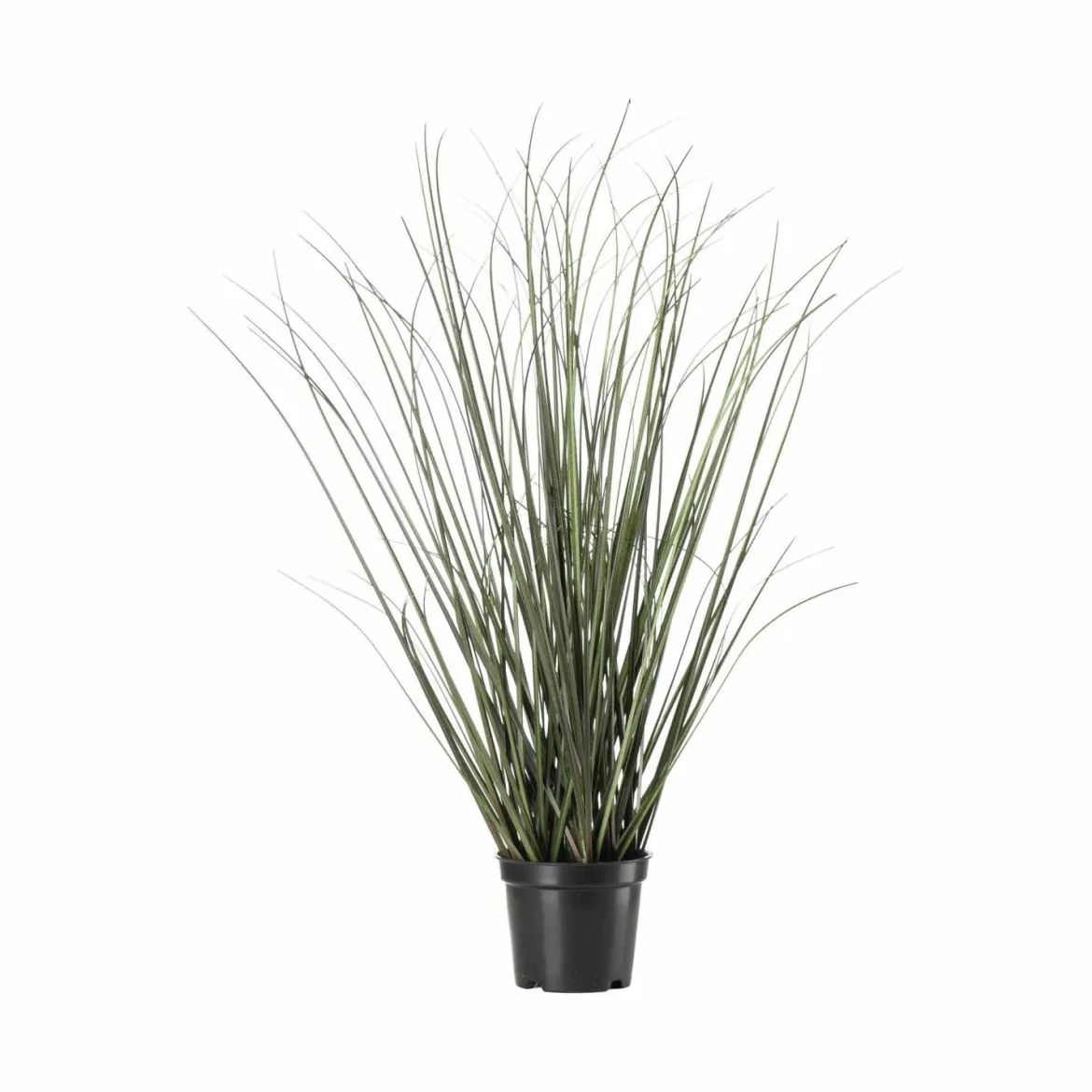 Gress i potte 48cm