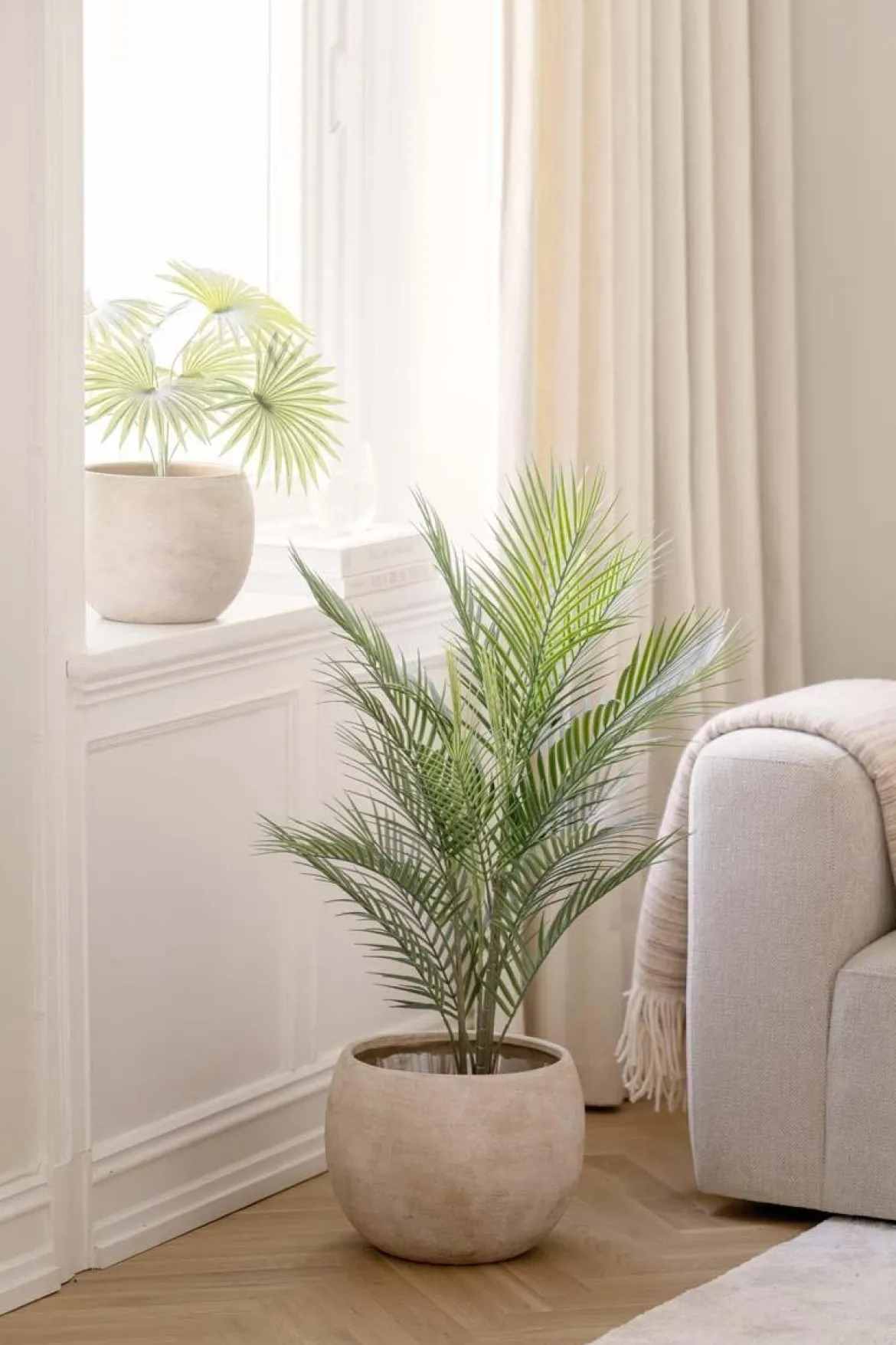 Palme Kwai i potte 97cm