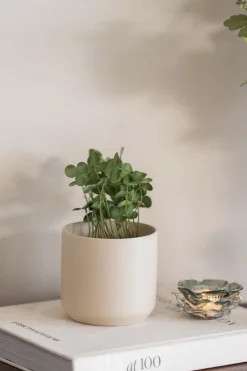 Potte Avetia 11,5 cm, krem