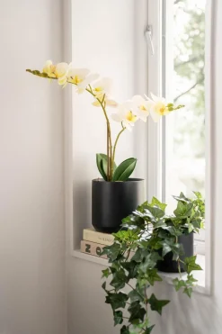 Potte Avetia 17 cm, sort
