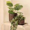 Potte Briana 20 cm