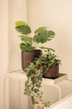 Potte Briana 20 cm