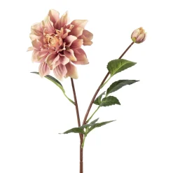 Stilkblomst Dahlia 70 cm rosa