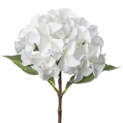 Stilkblomst Hortensia 49 cm hvit
