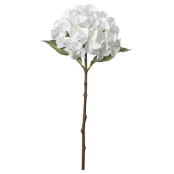 Stilkblomst Hortensia 49 cm hvit