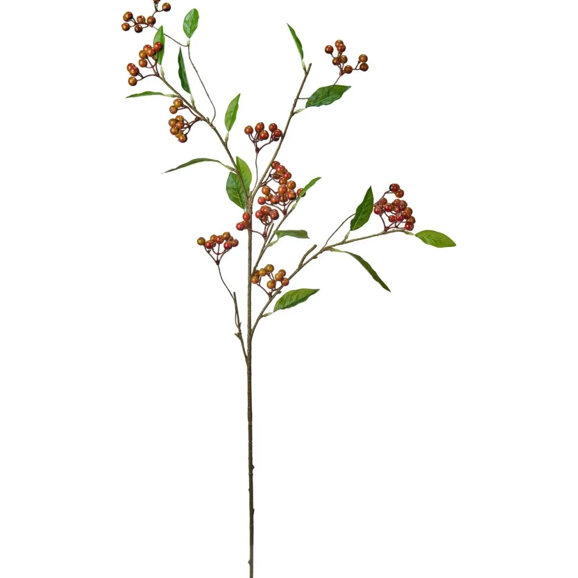 Stilkblomst Høstbær 88cm