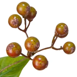 Stilkblomst Høstbær 88cm