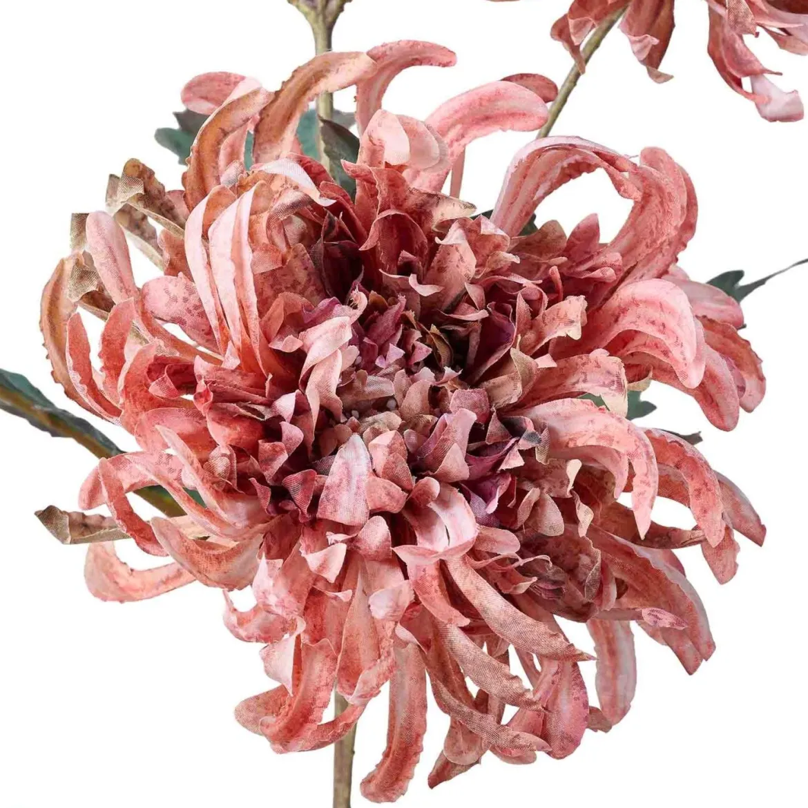 Stilkblomst Krysantemum 80cm rosa
