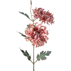 Stilkblomst Krysantemum 80cm rosa