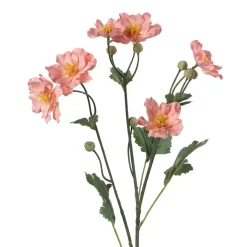 Stilkblomst Ranunkel 69 cm fersken