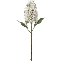 Stilklomst Syrinhortensia 75 cm hvit
